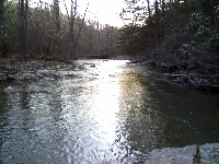 Whiteday Creek