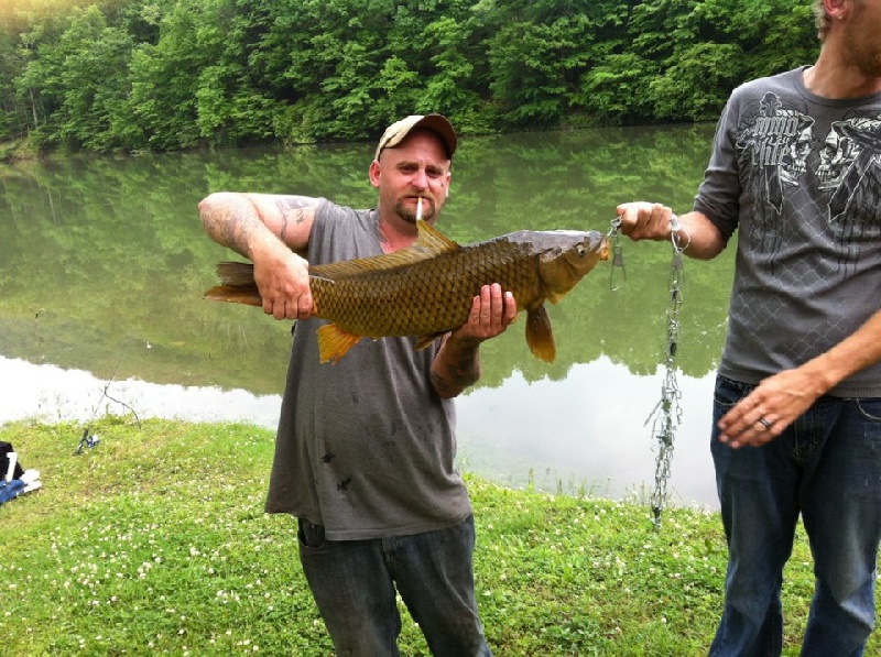 1st Citation Fish- Carp near Addison (Webster Springs)