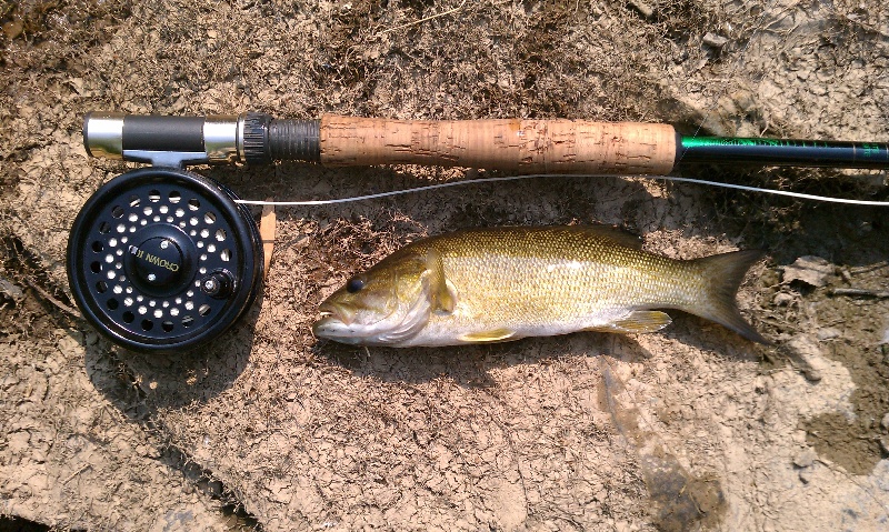 1st Smallmouth near Ranson