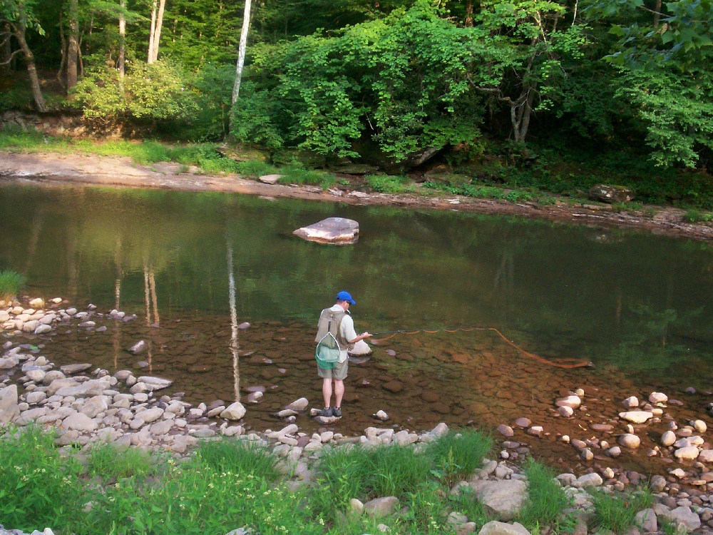 elk river near Huttonsville