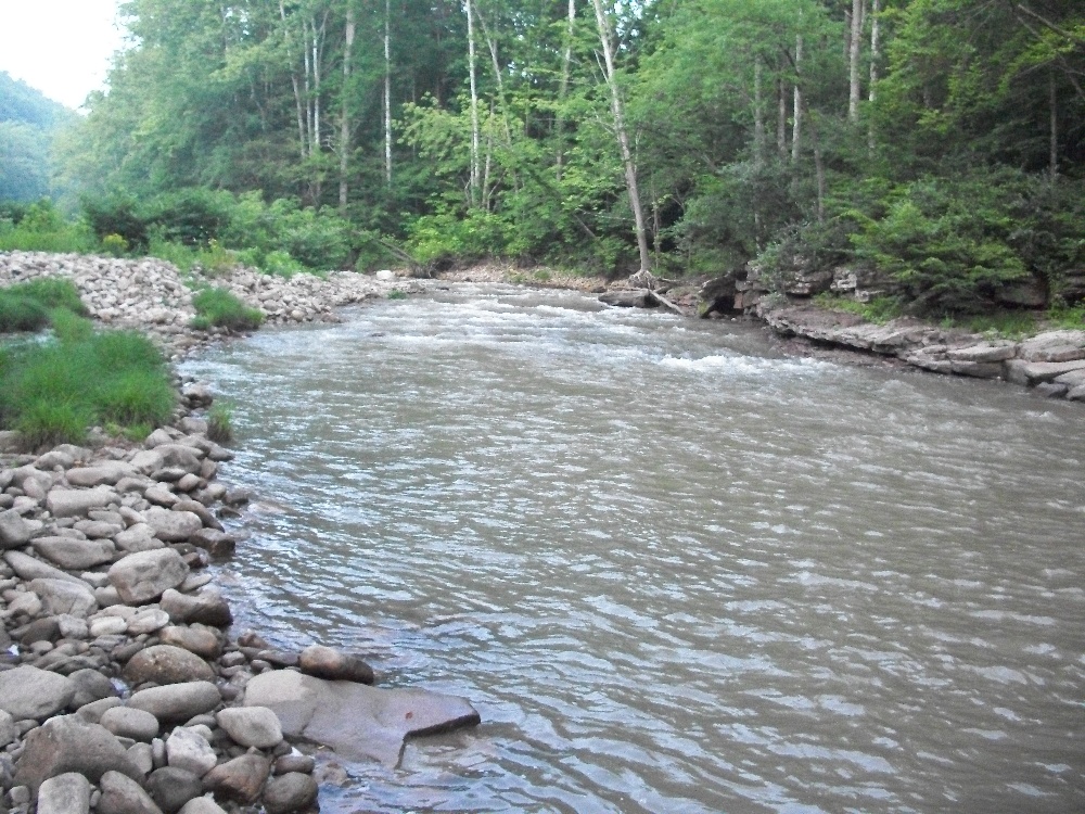elk river near Craigsville