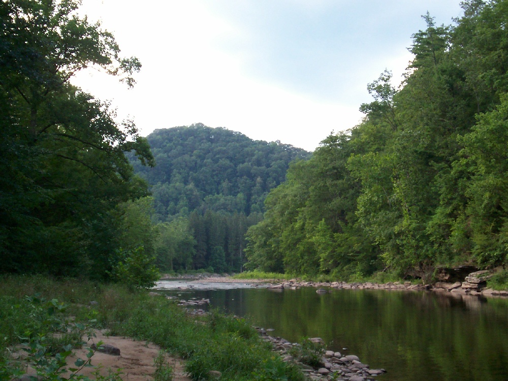 Shavers Fork near Davis