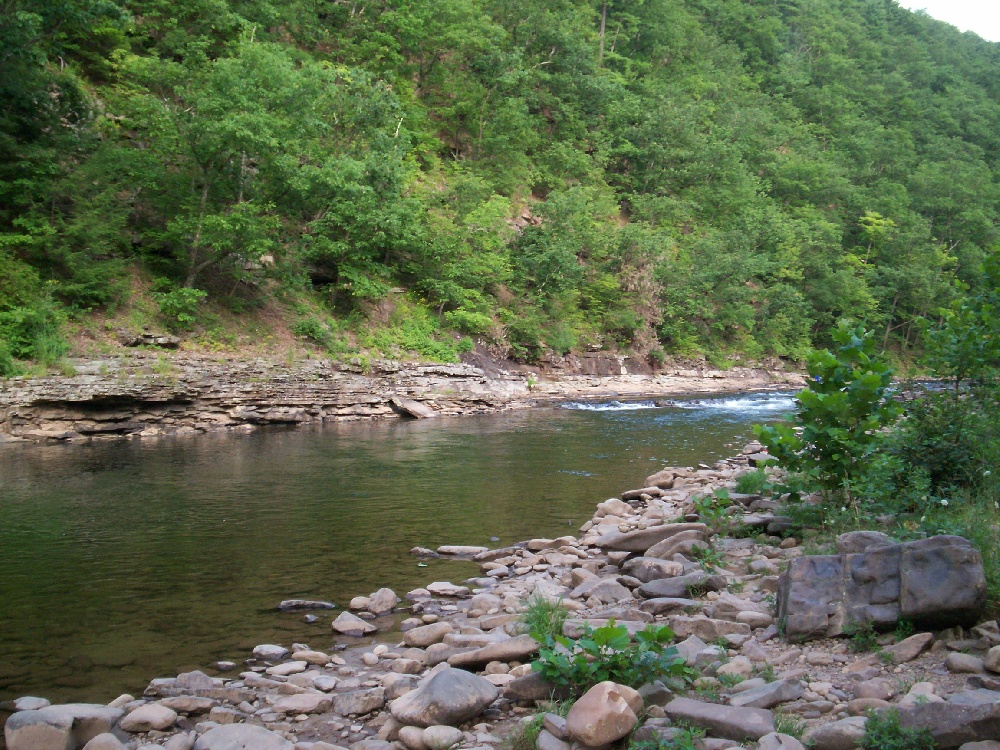 Shavers Fork near Davis