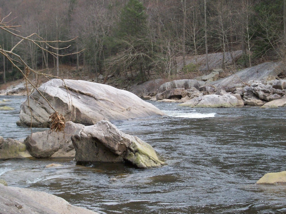 Cheat River near Brandonville