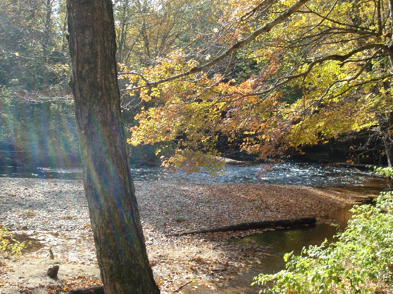 Jeremy and the Salmon River