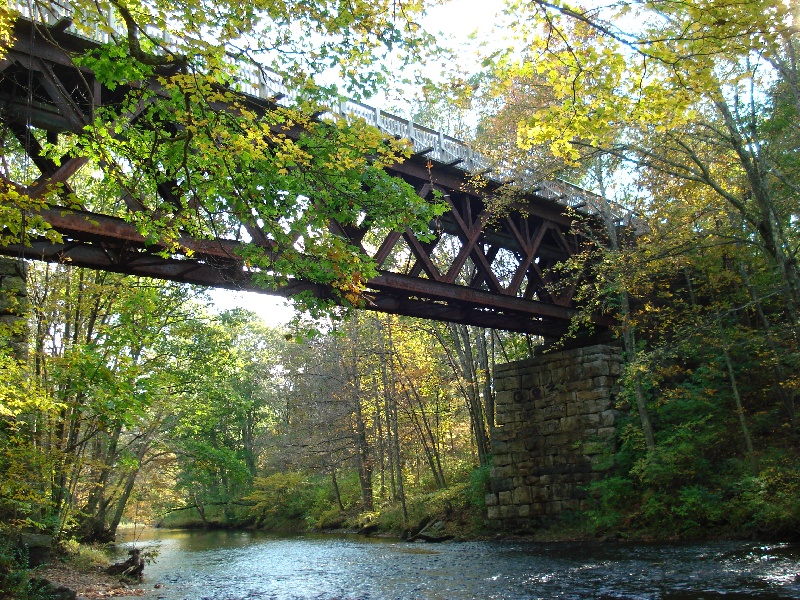 Walking/Jogging Bridge