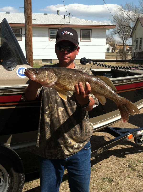 7.25 pound walleye