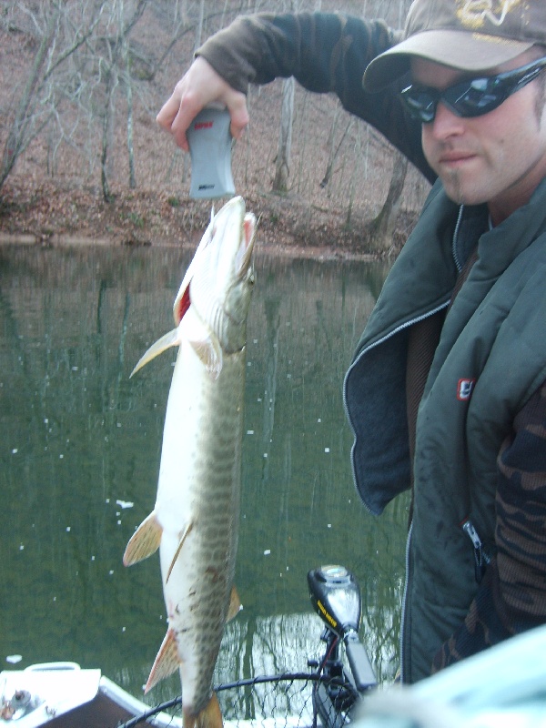 White Sulphur Springs fishing photo 2