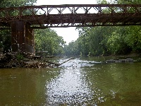 Potomac River Fishing Report