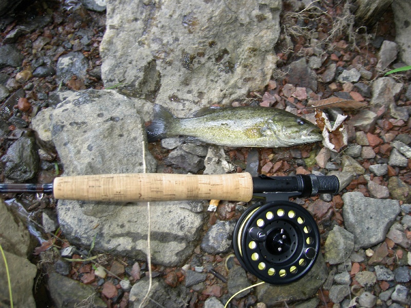Harpers Ferry fishing photo 5