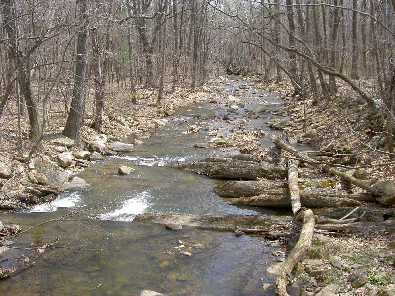 Wardensville fishing photo 4