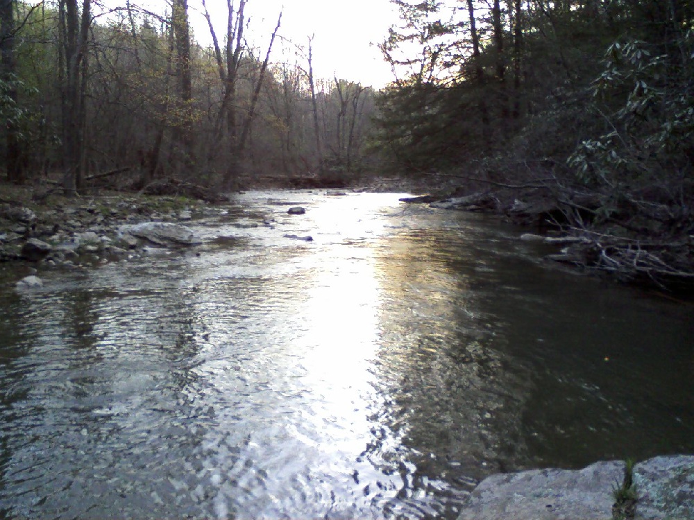 whiteday creek near Cheat Lake